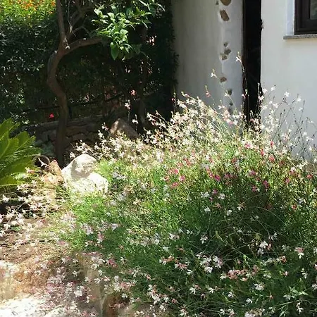 Casa Mileo * Lu Lioni